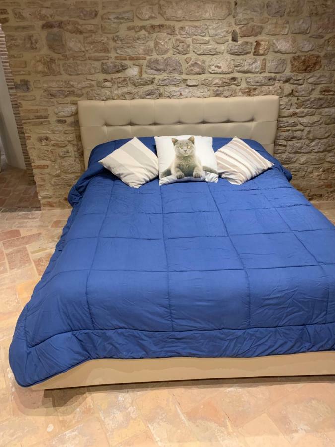 Ferienwohnung Mamihouse Gubbio Exterior foto